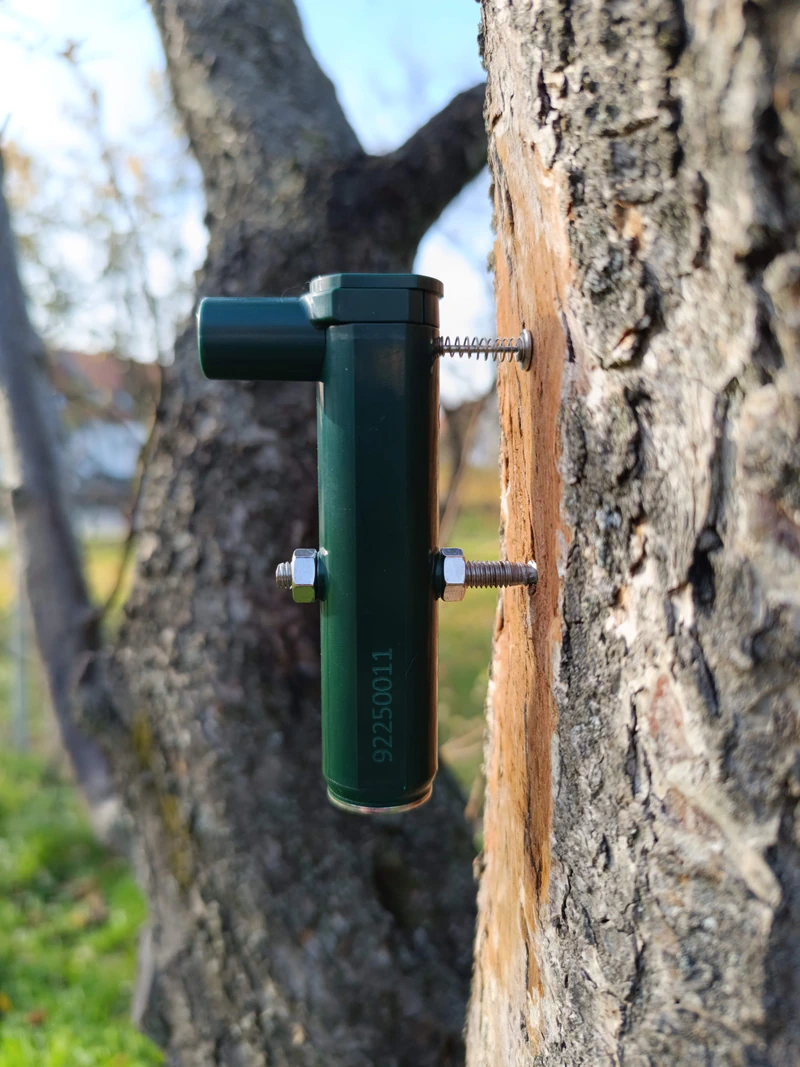 Point Dendrometer